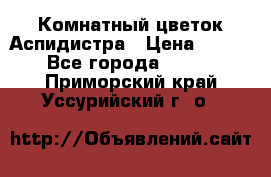 Комнатный цветок Аспидистра › Цена ­ 150 - Все города  »    . Приморский край,Уссурийский г. о. 